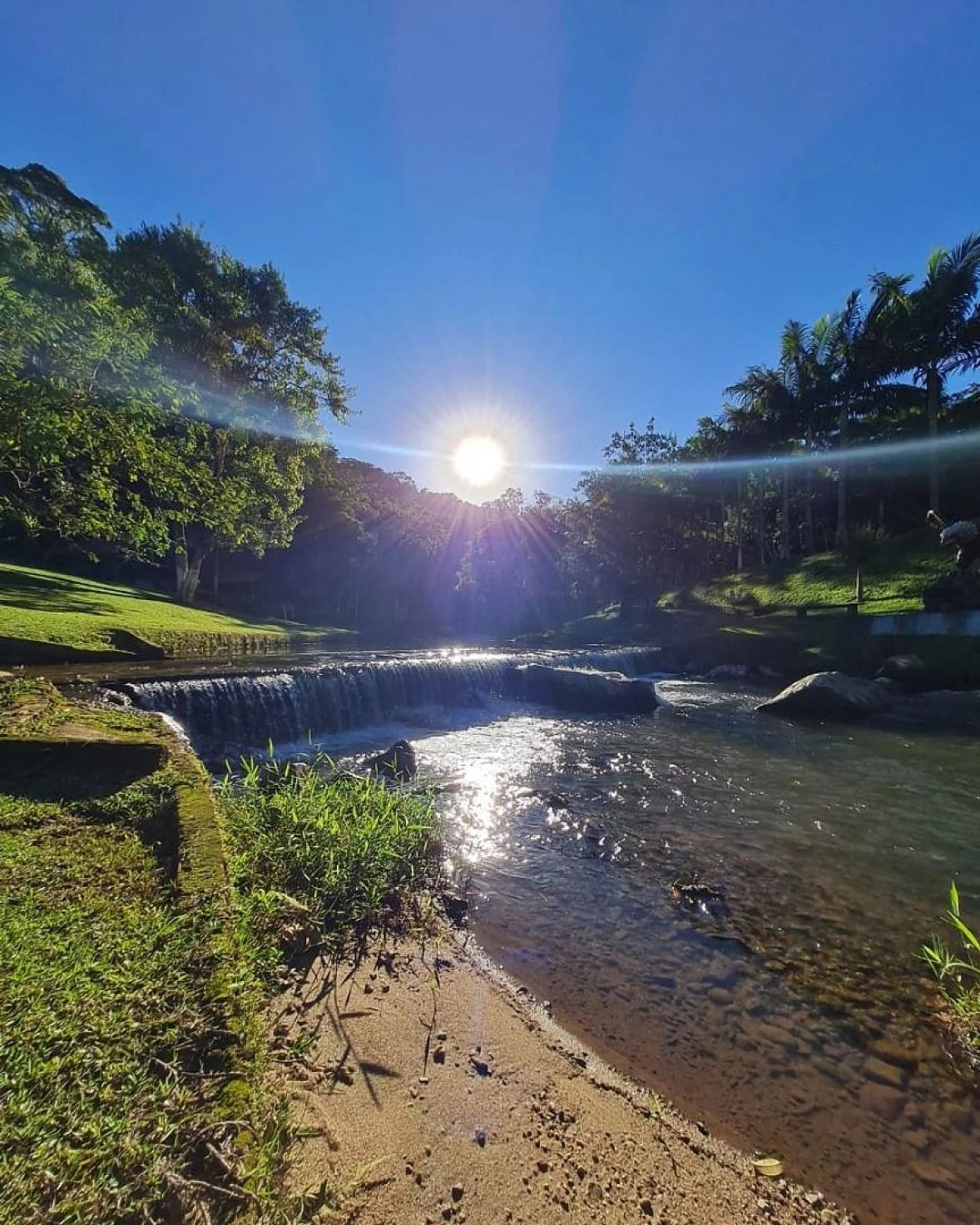 Sítio à Venda - Campo Novo - Tijucas/SC - Foto 22