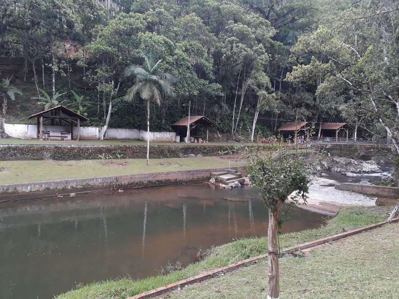 Sítio à Venda - Campo Novo - Tijucas/SC - Foto 6