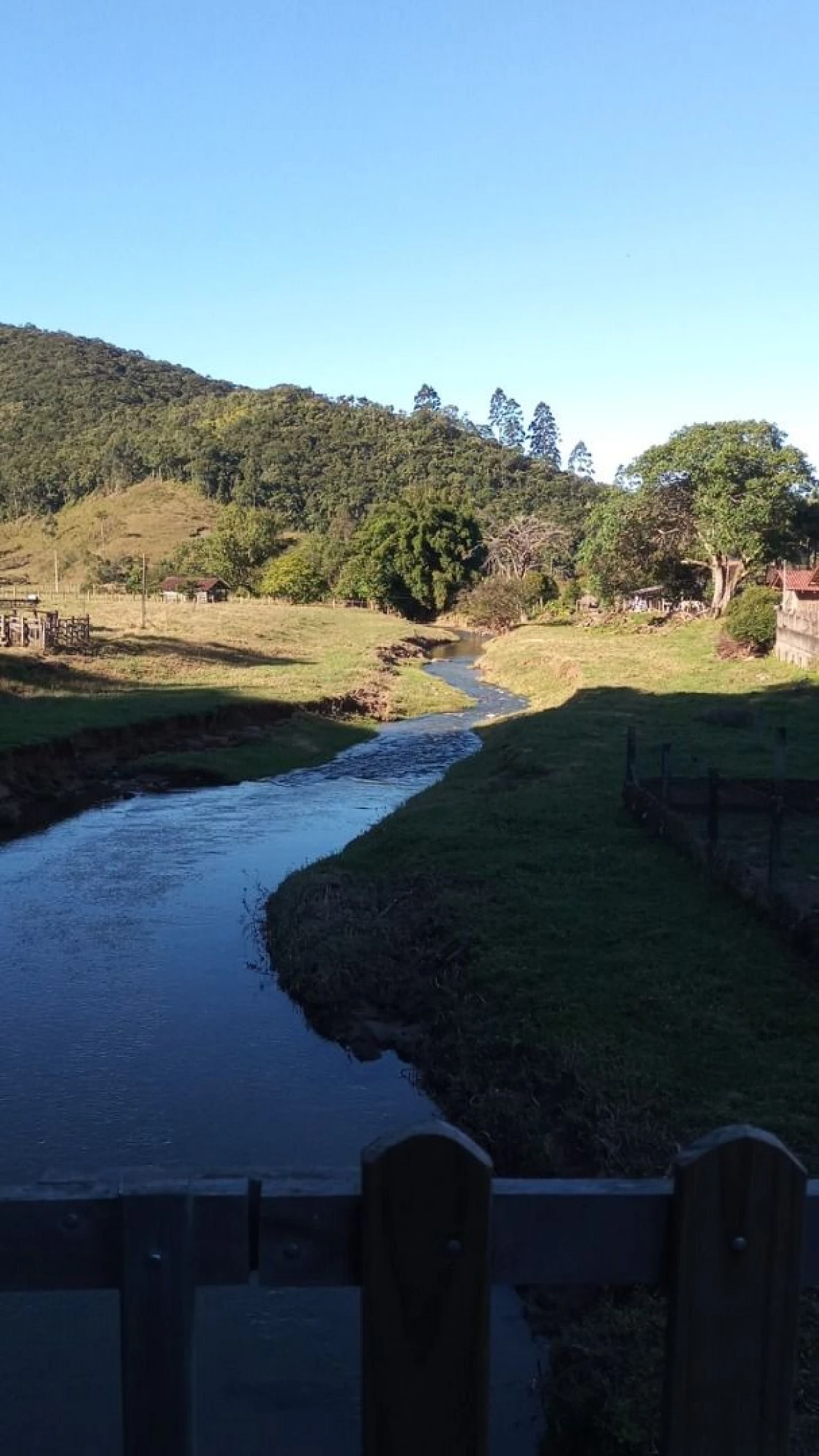 Sítio à Venda - Campo Novo - Tijucas/SC - Foto 9