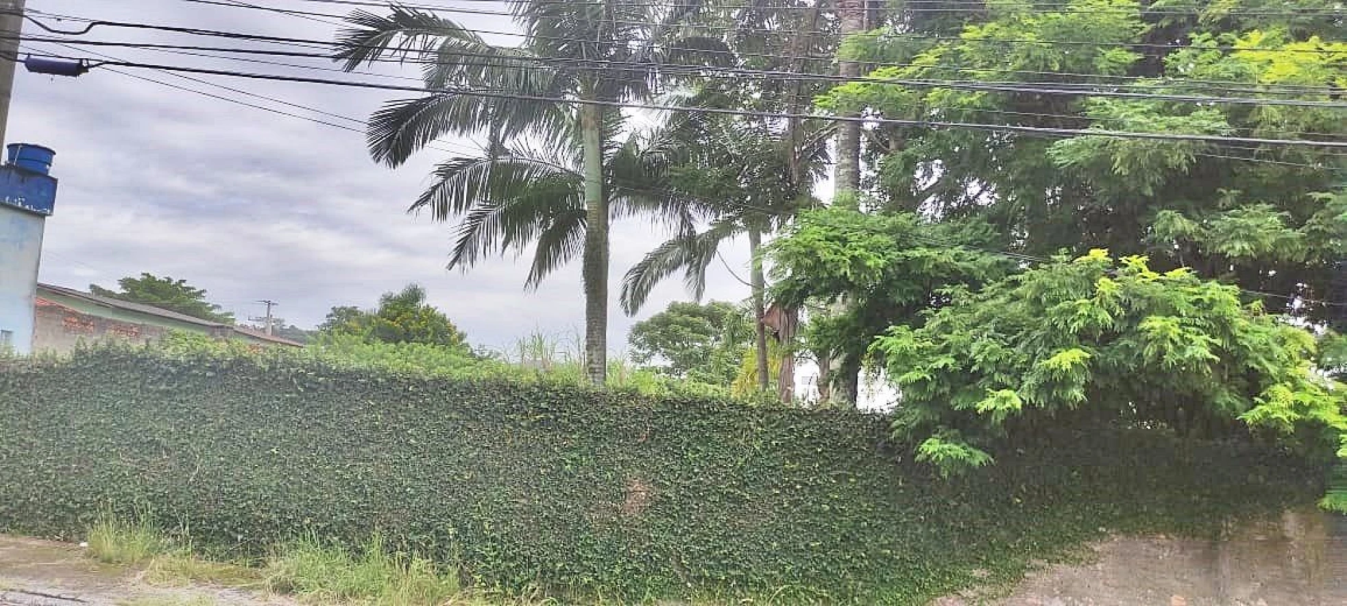 Terreno de 1.621,40 m² em Areias, Viab. 12 Pavimentos - Foto 11