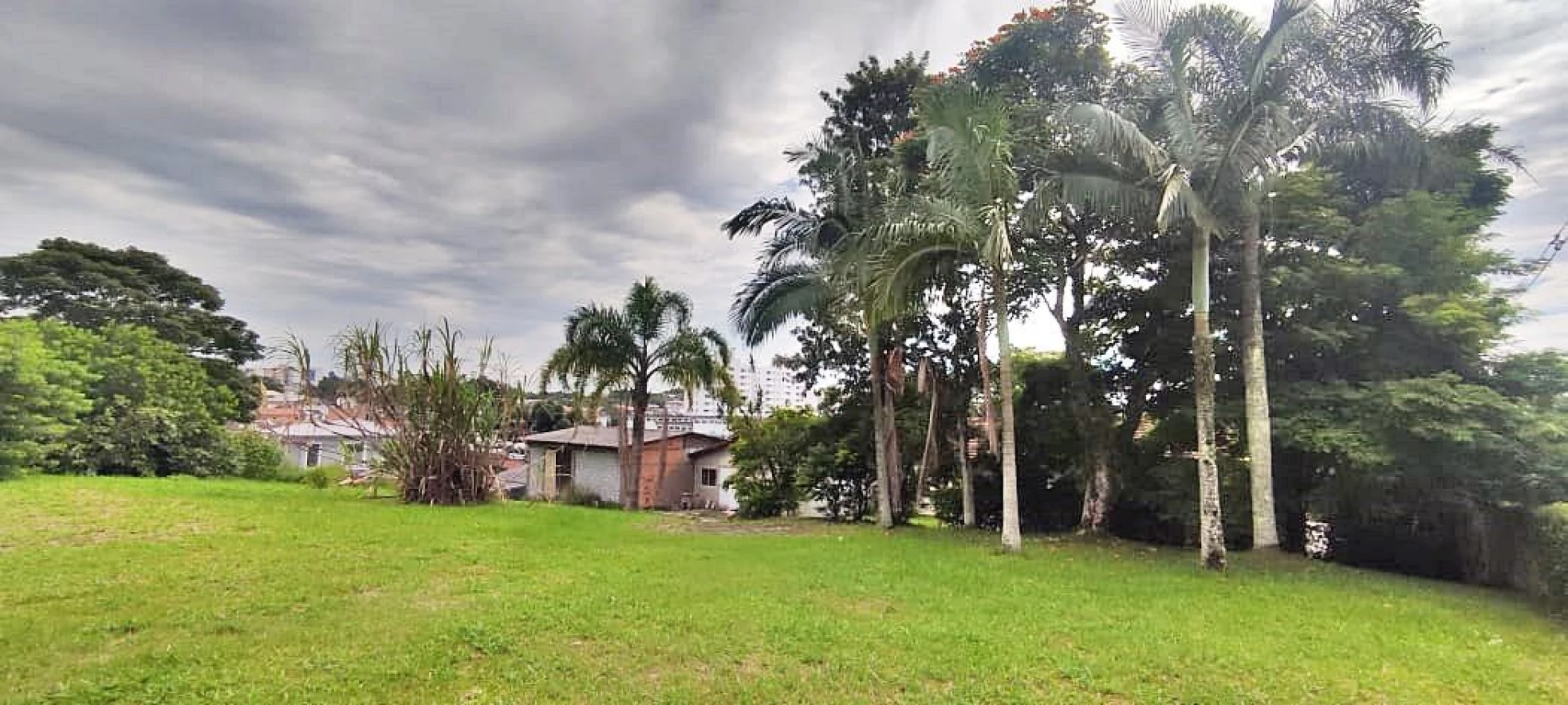 Terreno de 1.621,40 m² em Areias, Viab. 12 Pavimentos - Foto 6