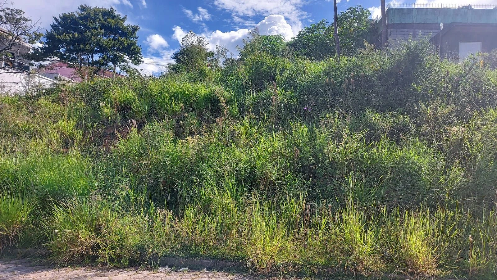 Terreno 200 m² em Forquilhinhas - São José SC - Foto 10
