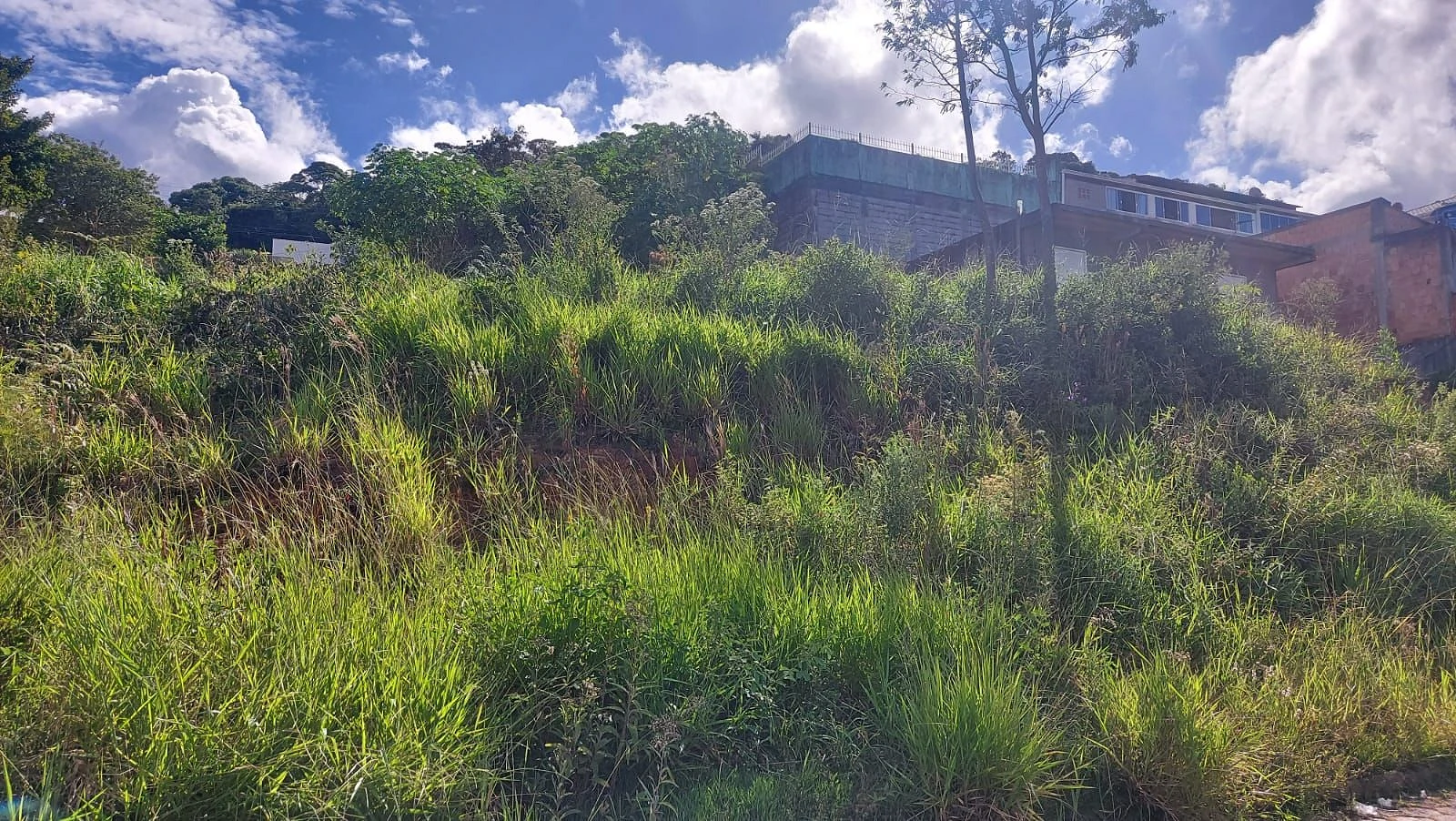Terreno 200 m² em Forquilhinhas - São José SC - Foto 11