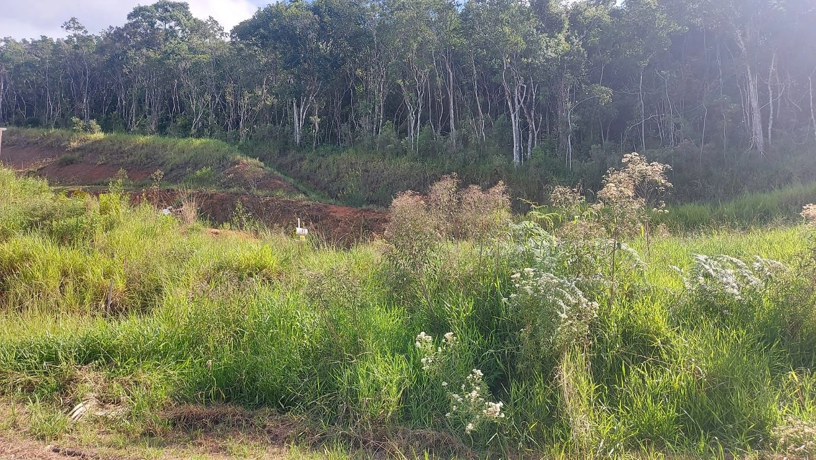 Terreno 200 m² em Forquilhinhas - São José SC - Foto 13