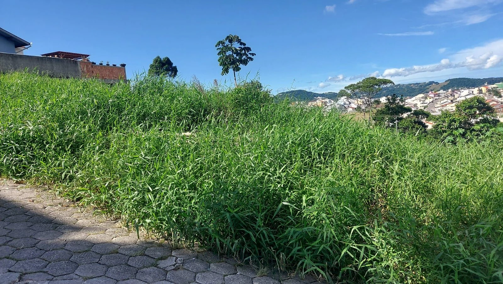 Terreno 200 m² em Forquilhinhas - São José SC - Foto 15