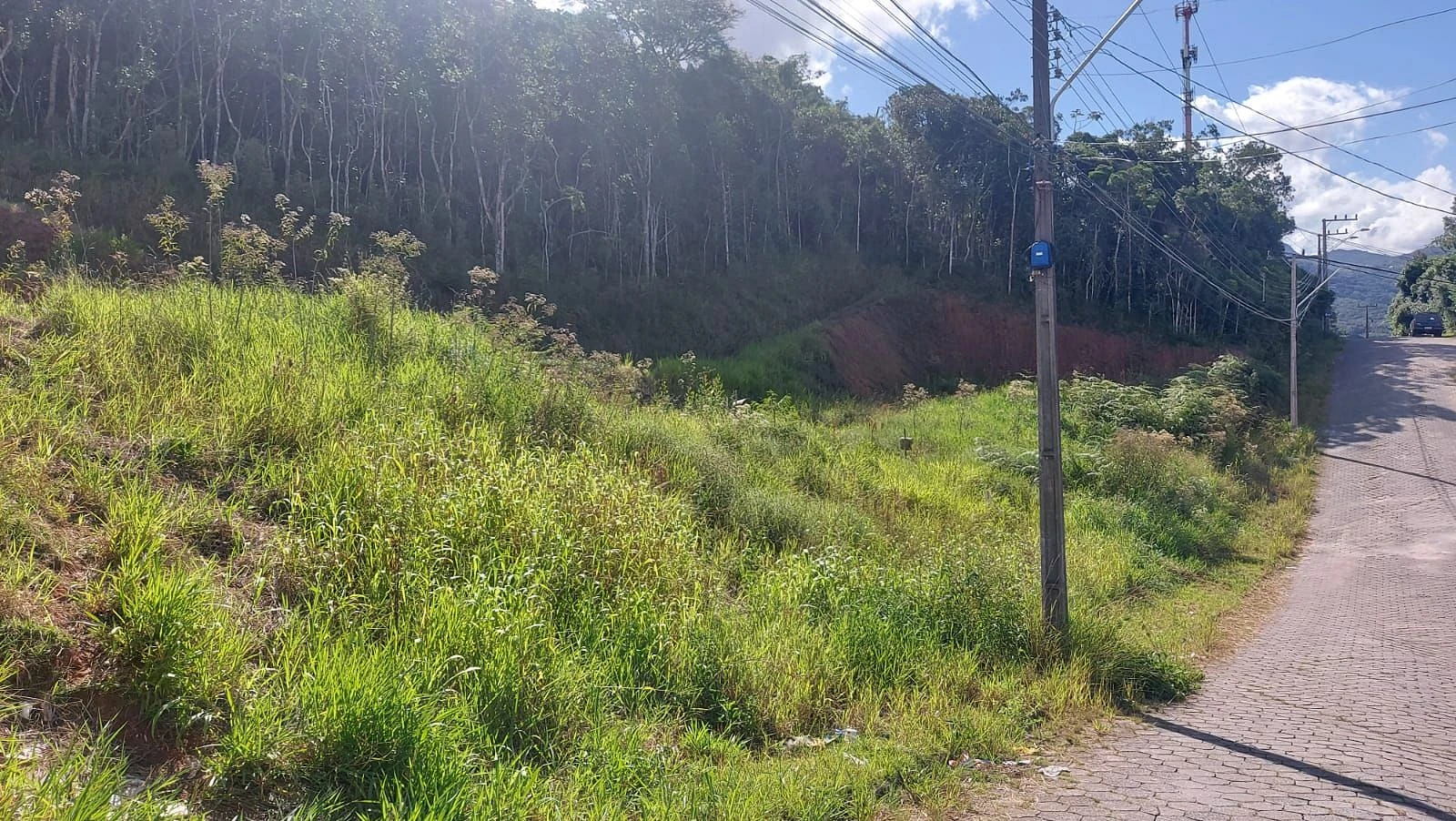 Terreno em Forquilhas, São José