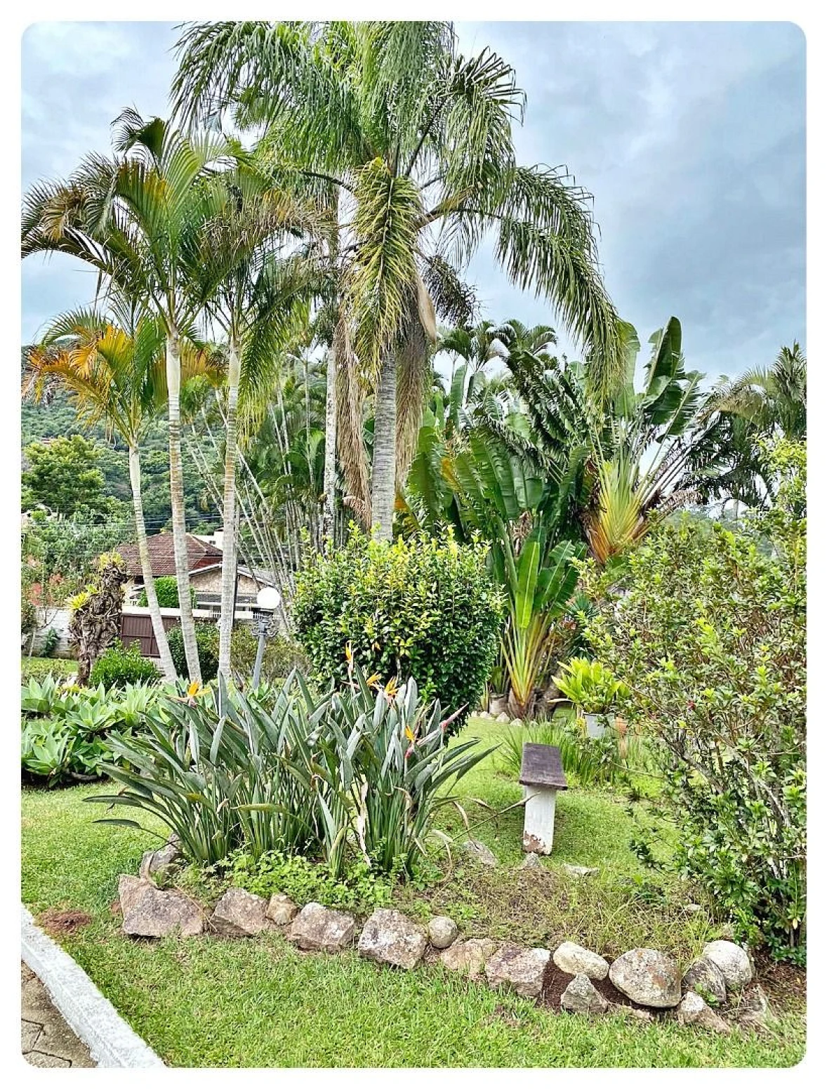 Terreno 13.200 m² em Sambaqui - Florianópolis SC