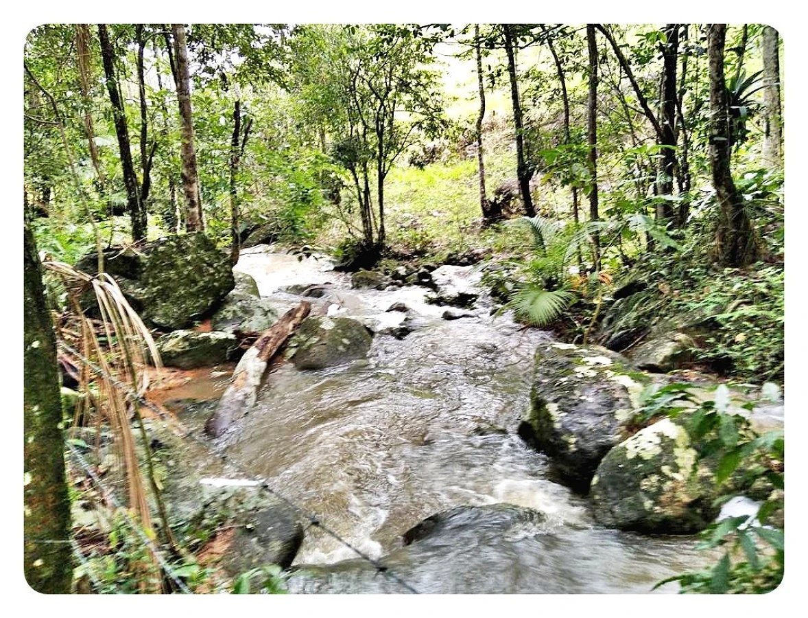 Chácara Pertinho da Cidade - Santo Amaro da Imperatriz, Grande Florianópolis/SC. - Foto 17