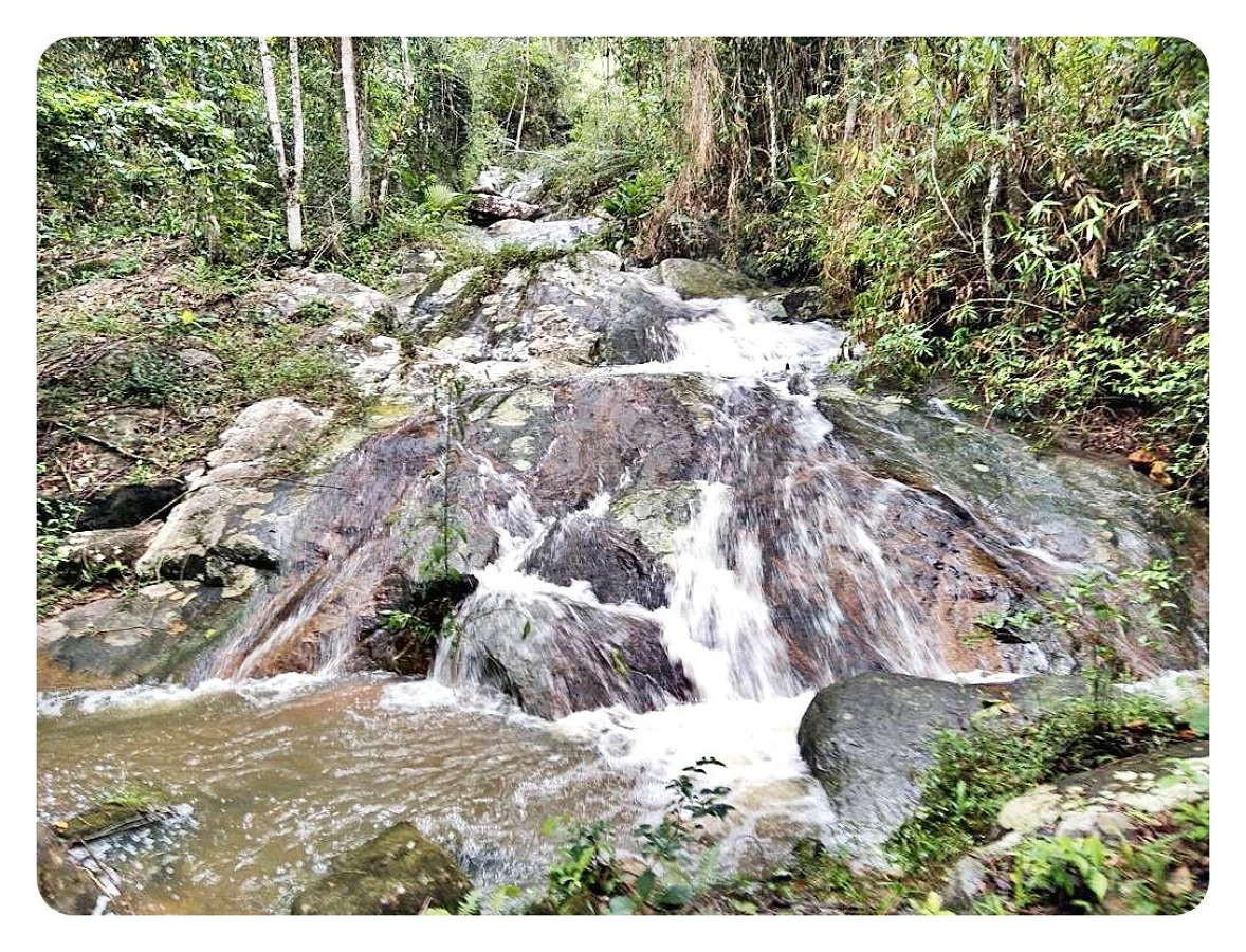 Sítio Pertinho da Cidade - Santo Amaro da Imperatriz, Grande Florianópolis/SC. - Foto 16