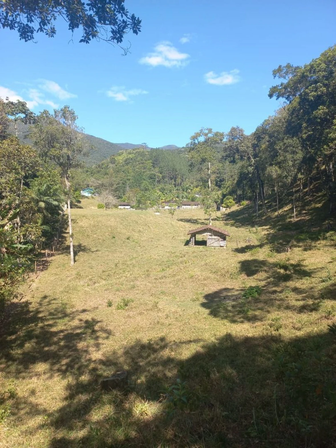 Sitio a Venda - São Bonifácio -SC - Foto 10