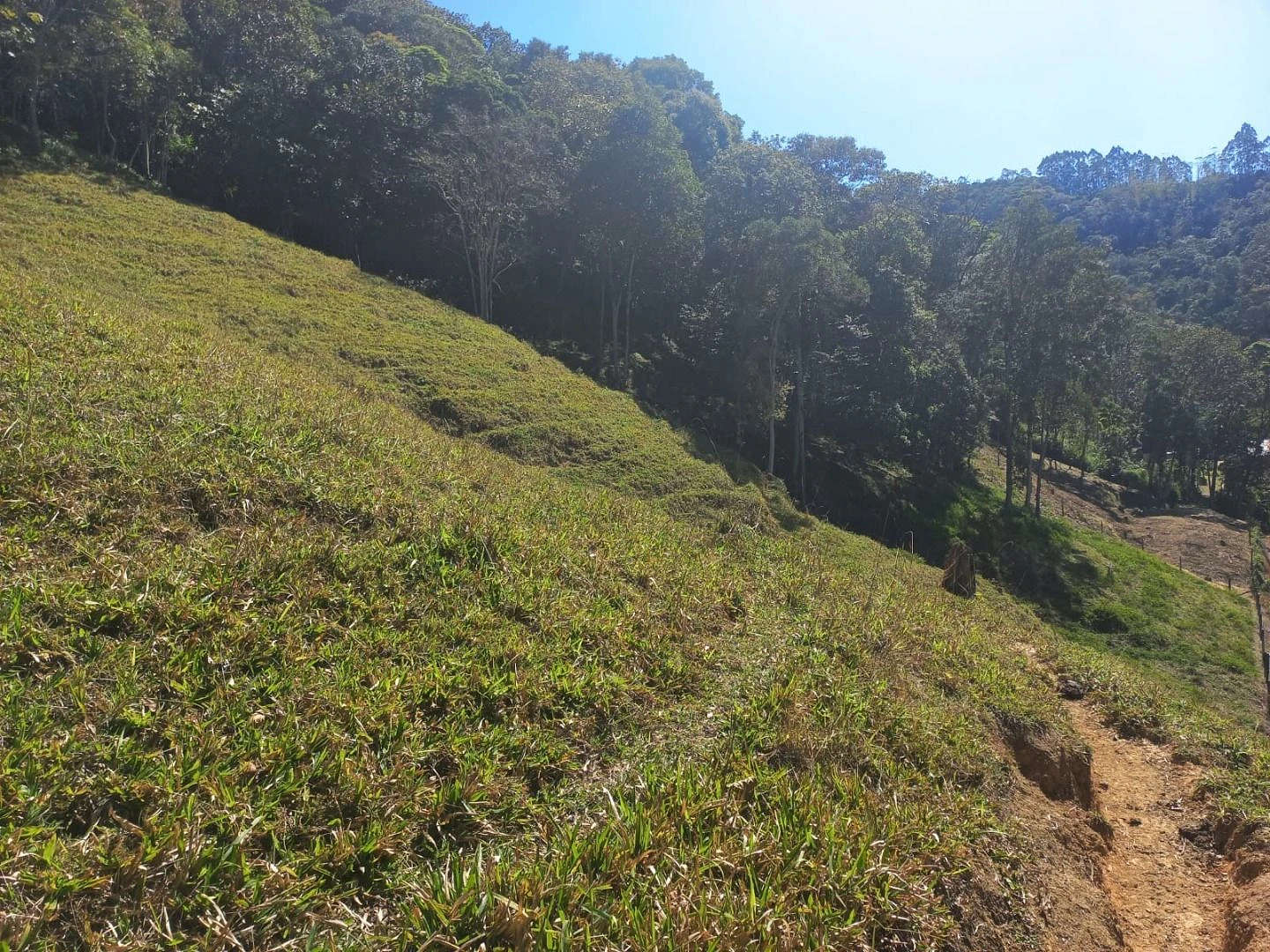 Sitio a Venda - São Bonifácio -SC - Foto 12