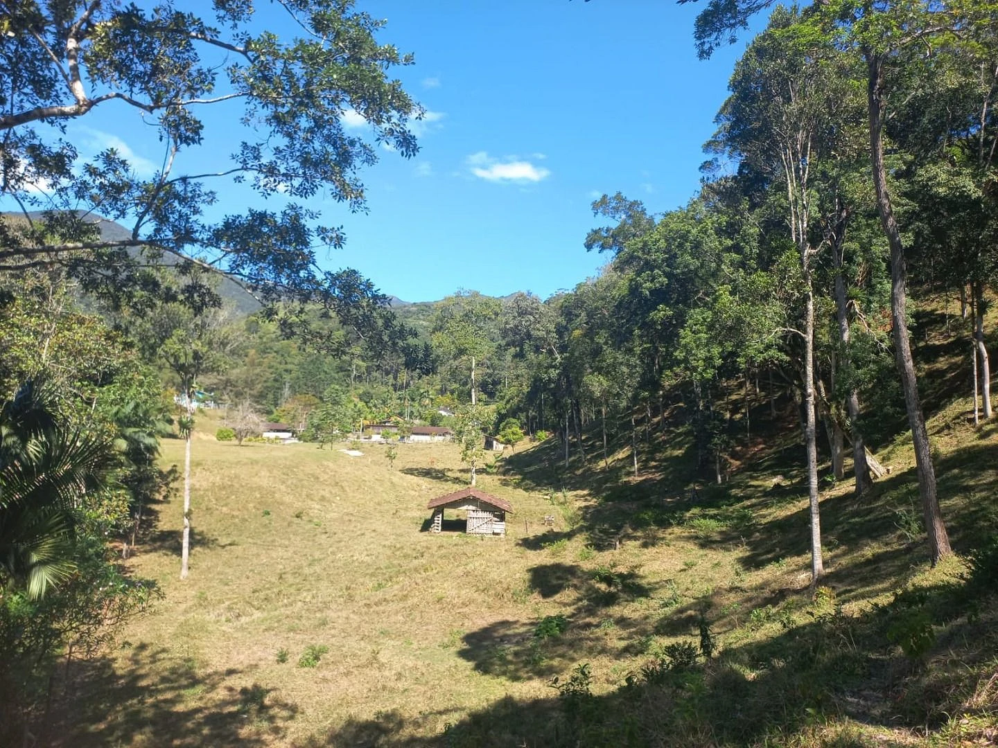 Sitio a Venda - São Bonifácio -SC - Foto 13