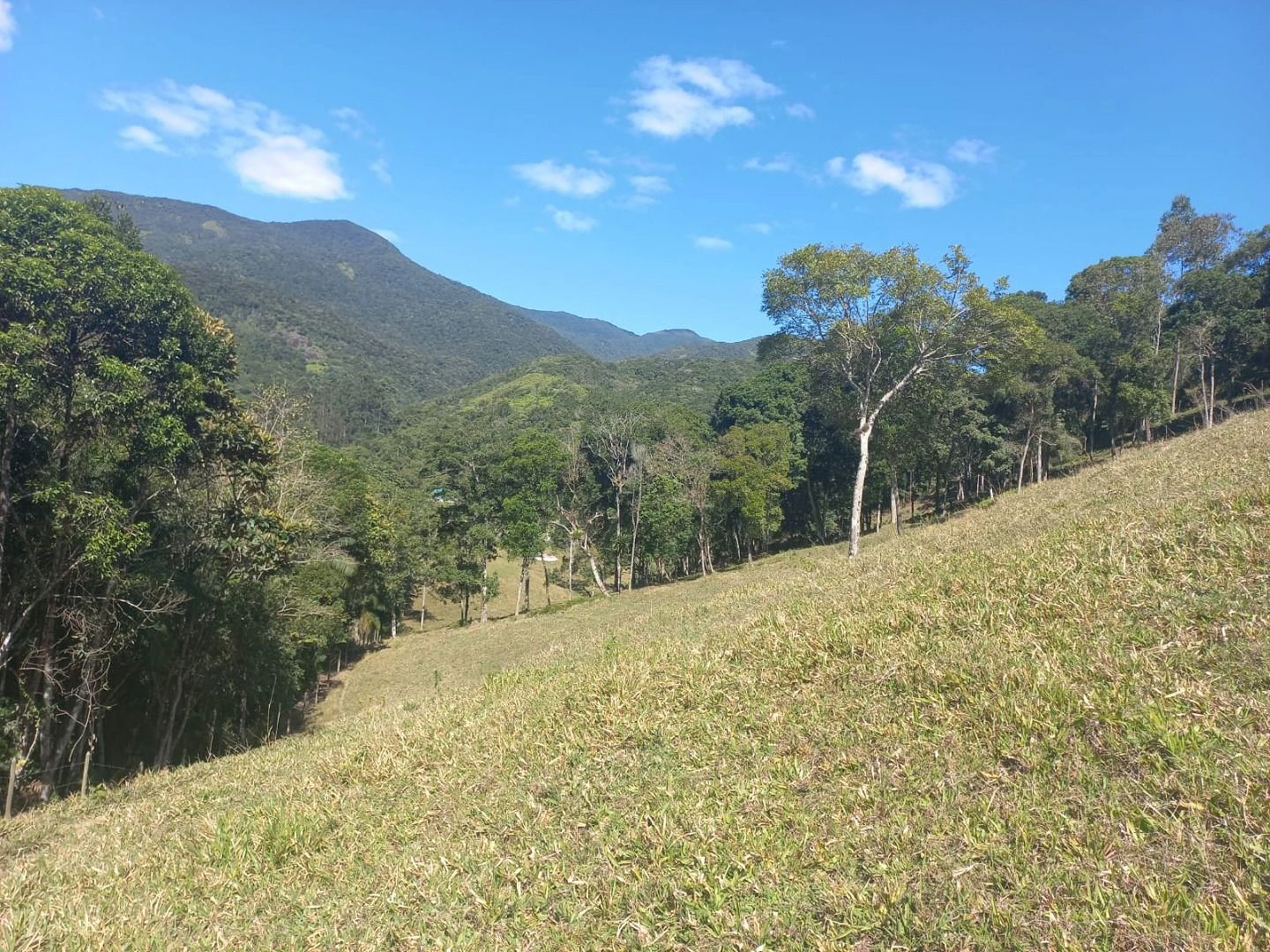 Sitio a Venda - São Bonifácio -SC - Foto 14