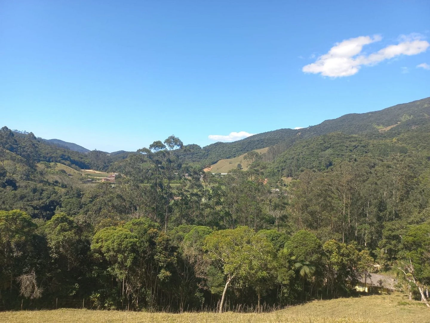 Sitio a Venda - São Bonifácio -SC - Foto 15