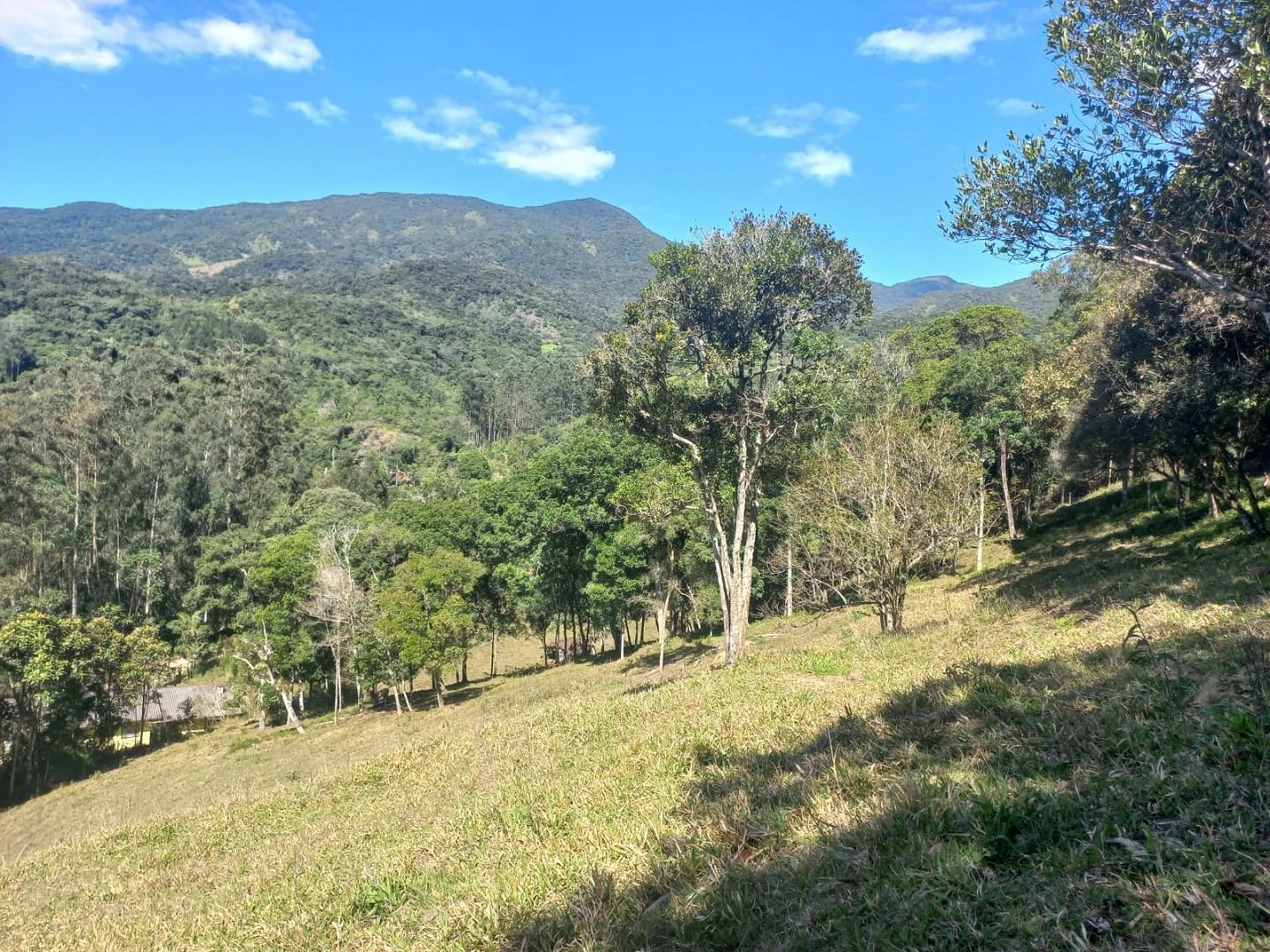 Sitio a Venda - São Bonifácio -SC - Foto 16