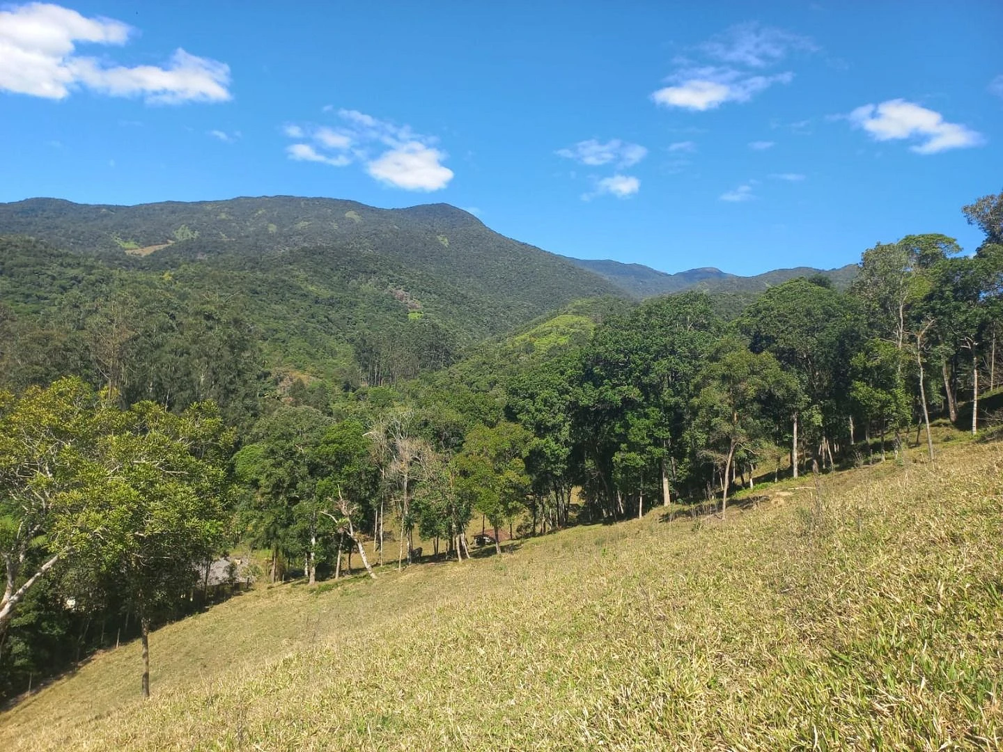 Sitio a Venda - São Bonifácio -SC - Foto 17