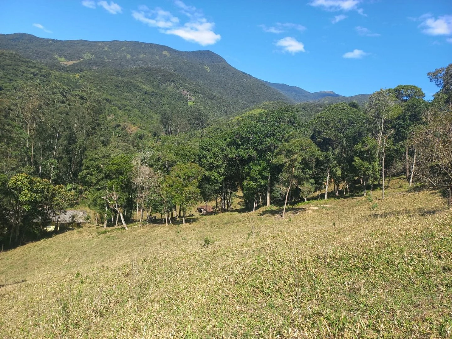 Sitio a Venda - São Bonifácio -SC - Foto 18