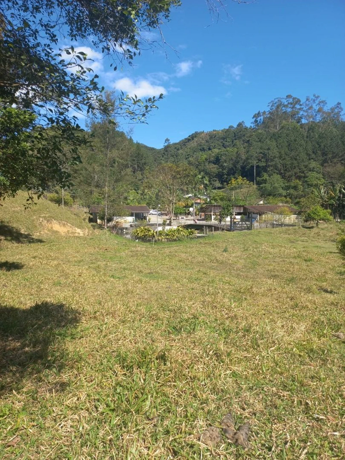 Sitio a Venda - São Bonifácio -SC - Foto 19