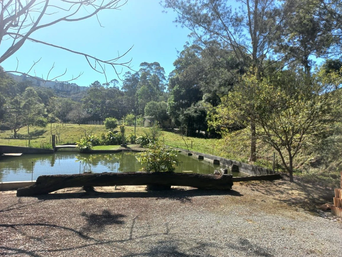 Sítio em Loeffelscheidt, Águas Mornas