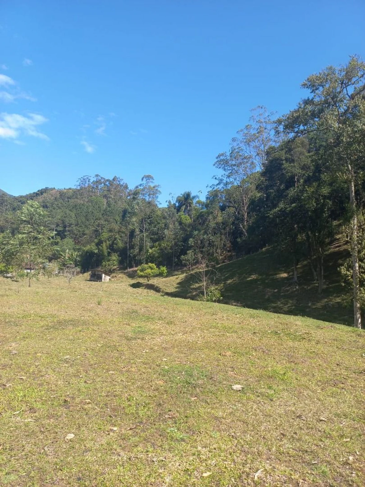 Sitio a Venda - São Bonifácio -SC - Foto 20