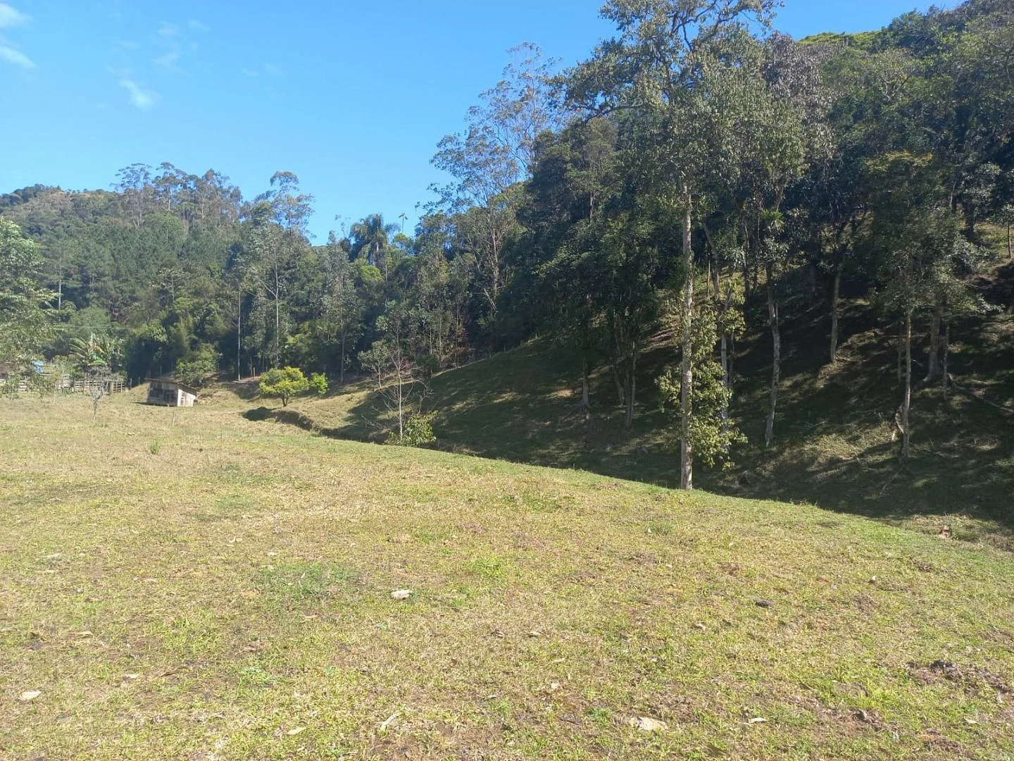 Sitio a Venda - São Bonifácio -SC - Foto 21