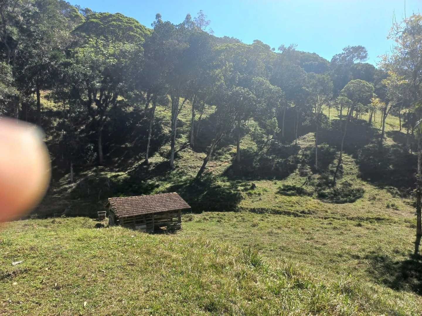 Sitio a Venda - São Bonifácio -SC - Foto 22