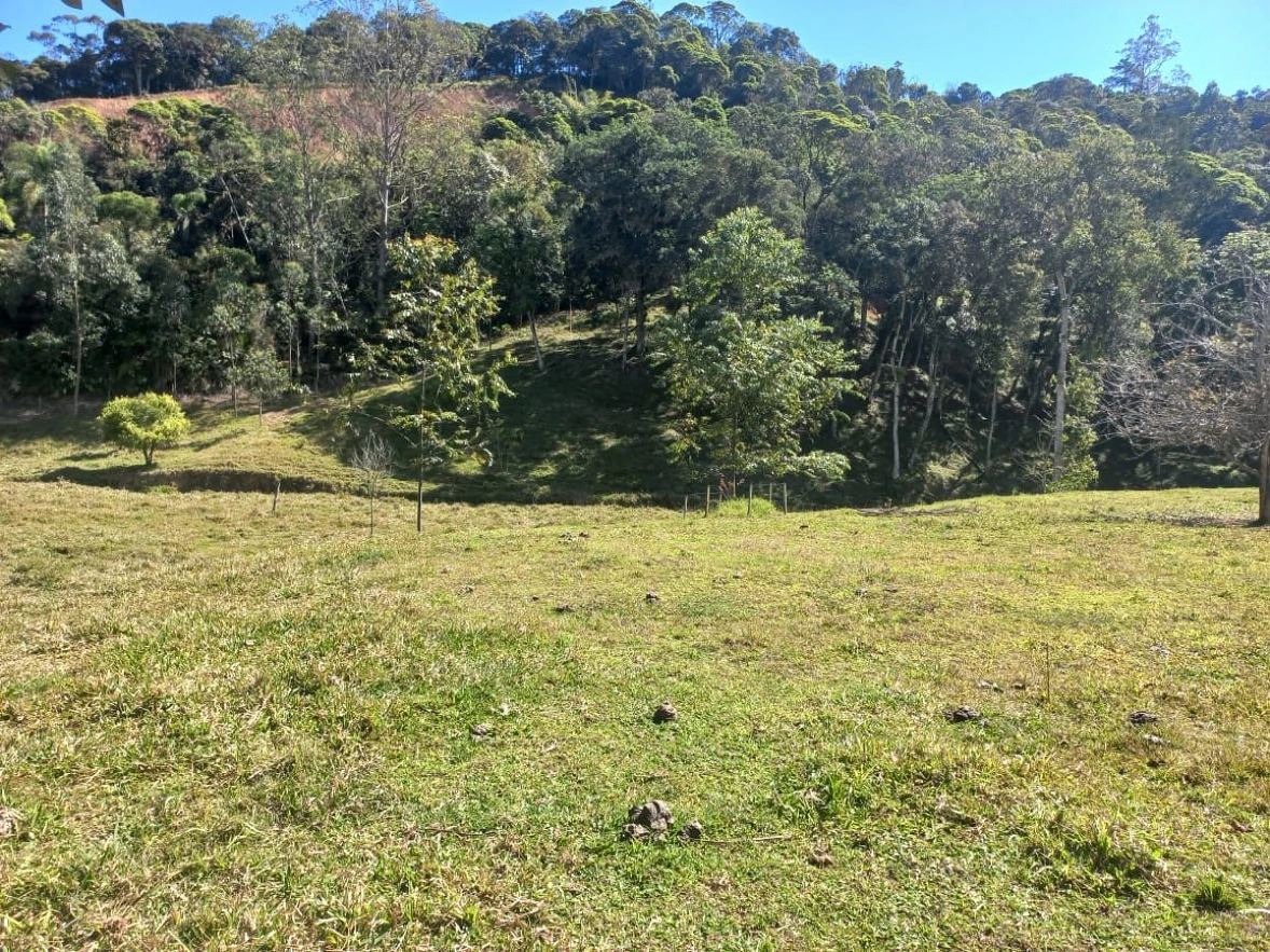Sitio a Venda - São Bonifácio -SC - Foto 24