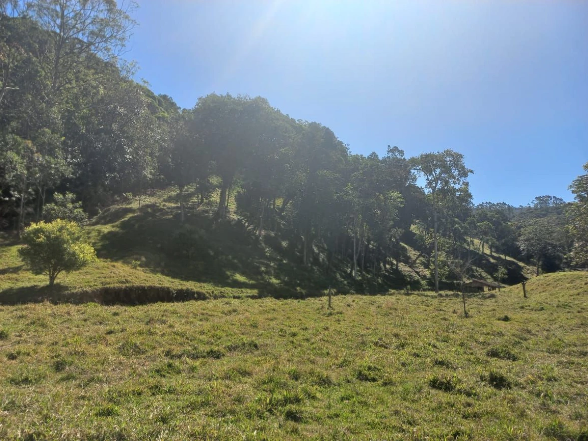 Sitio a Venda - São Bonifácio -SC - Foto 25