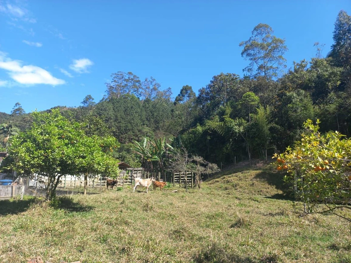 Sitio a Venda - São Bonifácio -SC - Foto 26