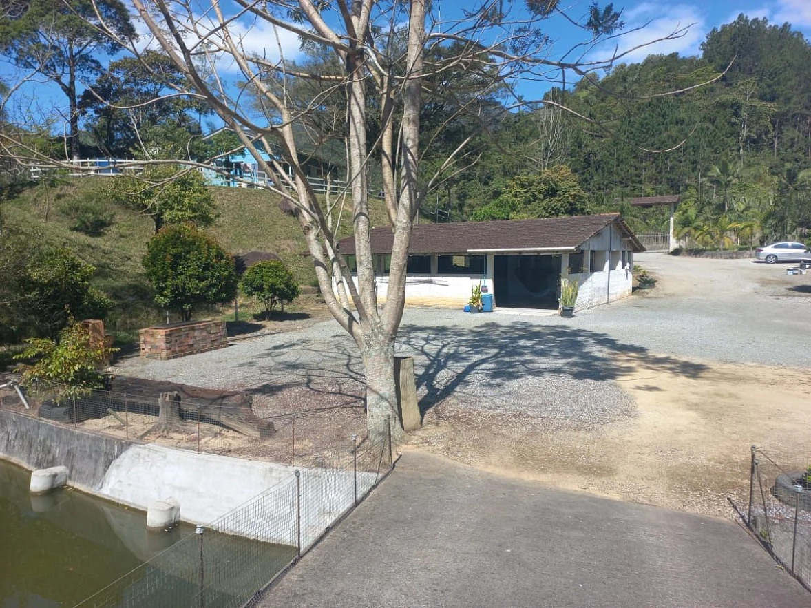 Sitio a Venda - São Bonifácio -SC - Foto 27