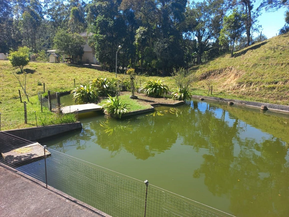 Sítio em Loeffelscheidt, Águas Mornas