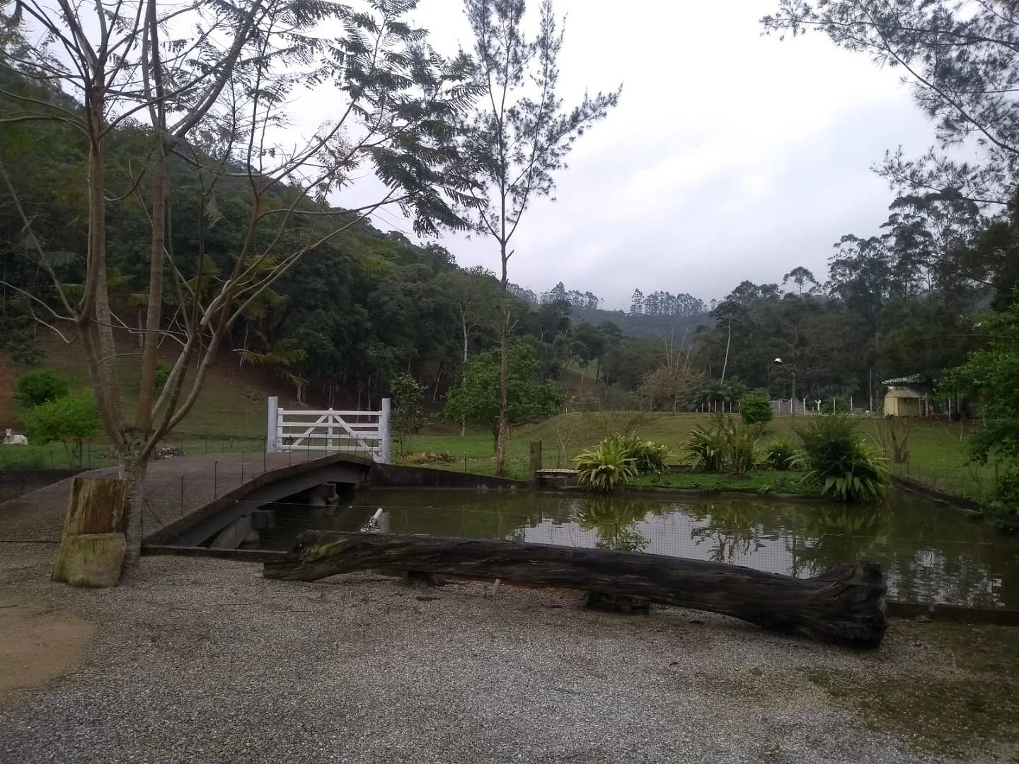 Sitio a Venda - São Bonifácio -SC - Foto 30
