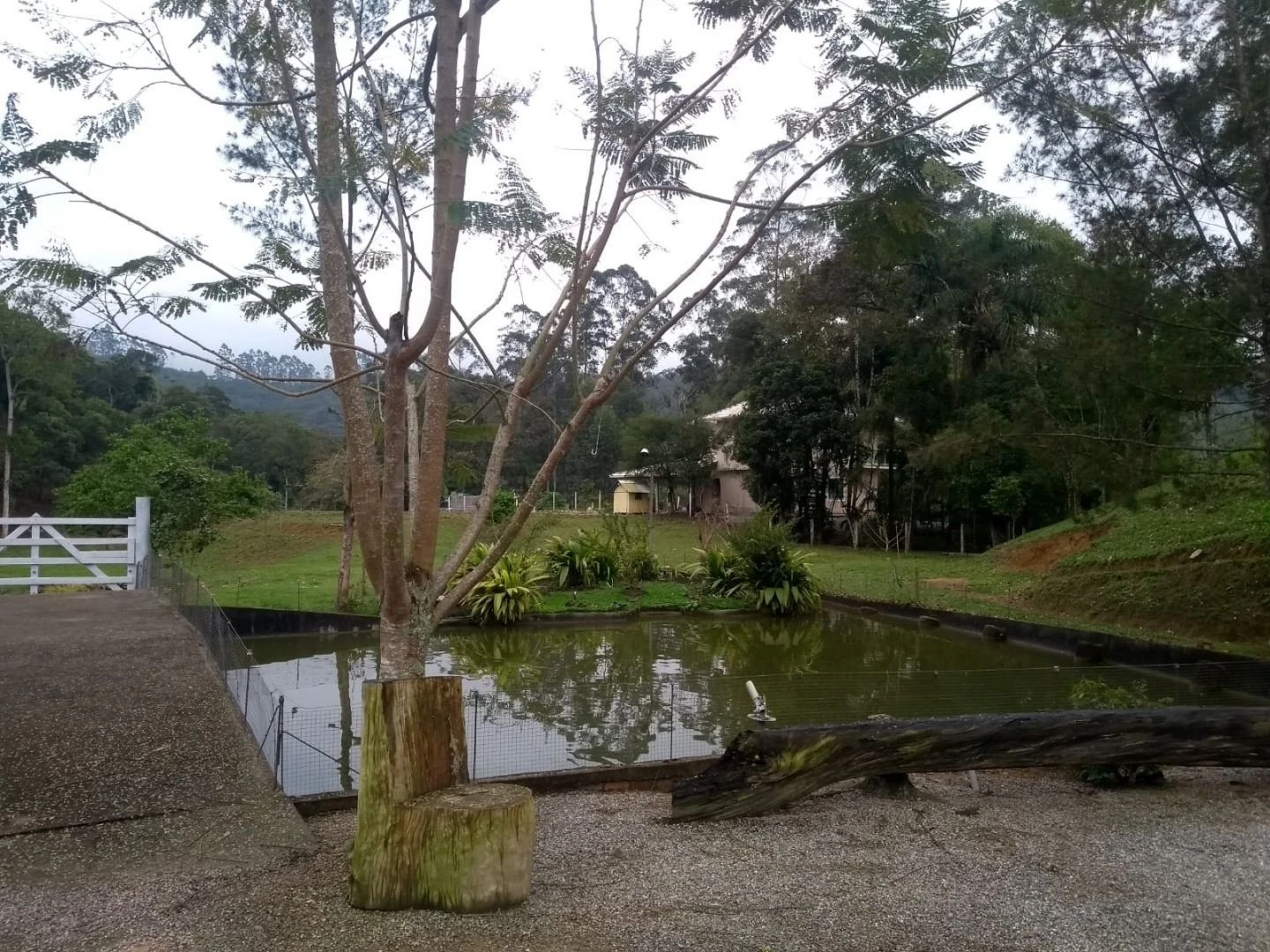Sitio a Venda - São Bonifácio -SC - Foto 31