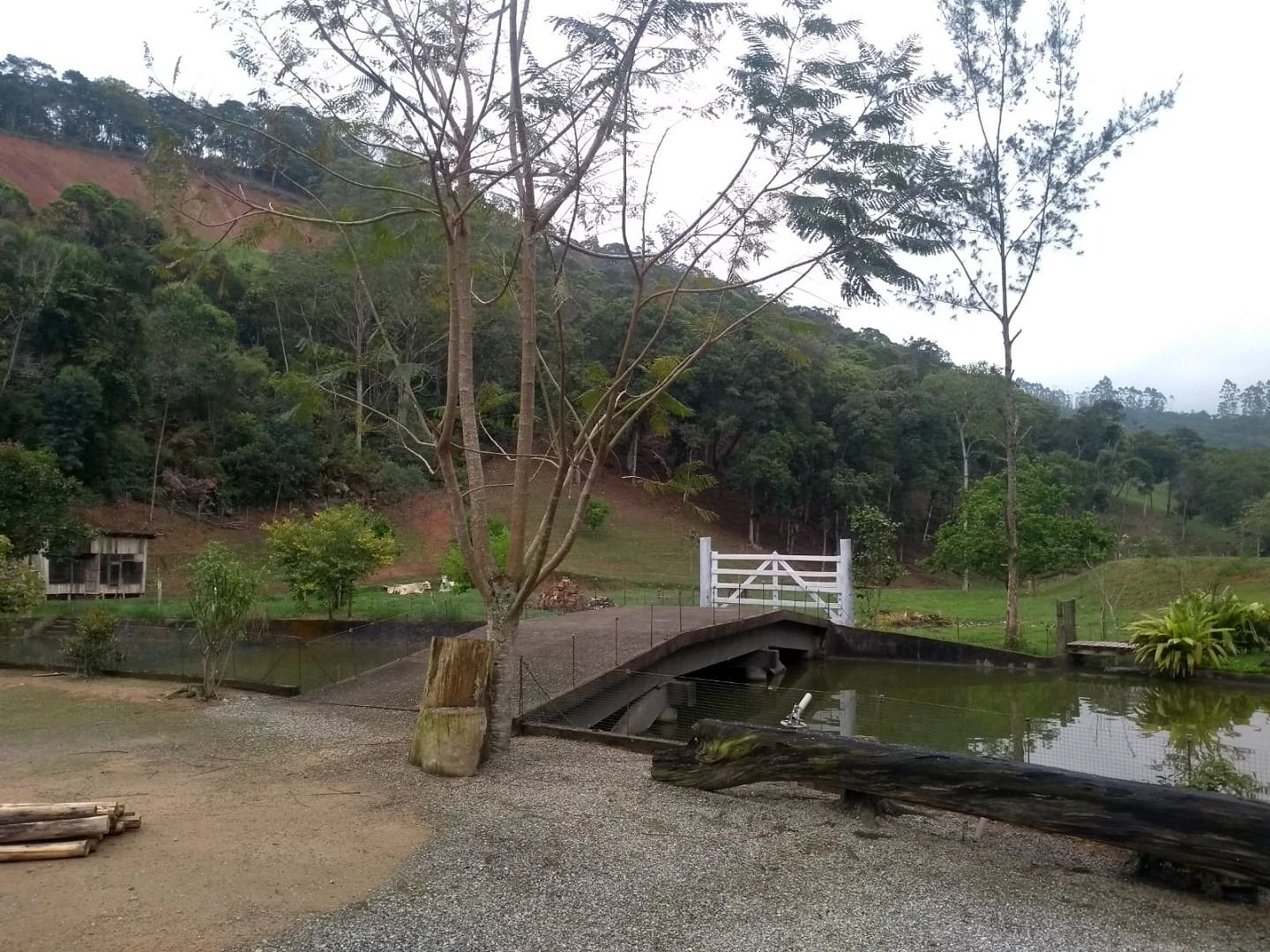 Sitio a Venda - São Bonifácio -SC - Foto 32