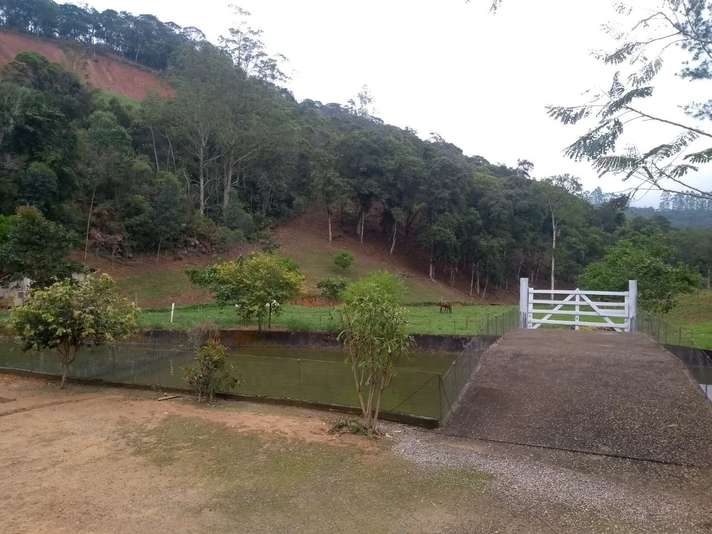 Sitio a Venda - São Bonifácio -SC - Foto 34