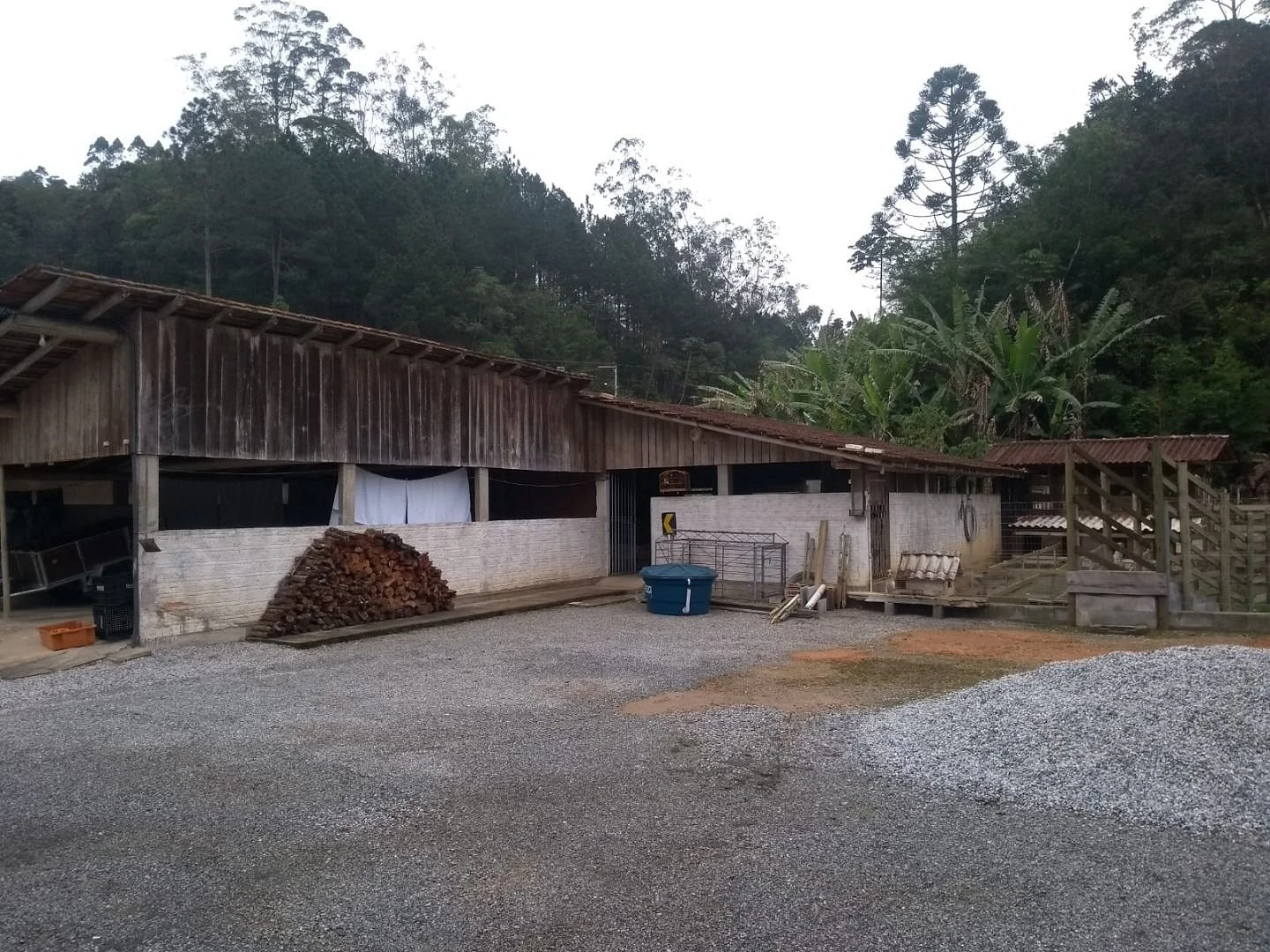 Sitio a Venda - São Bonifácio -SC - Foto 36