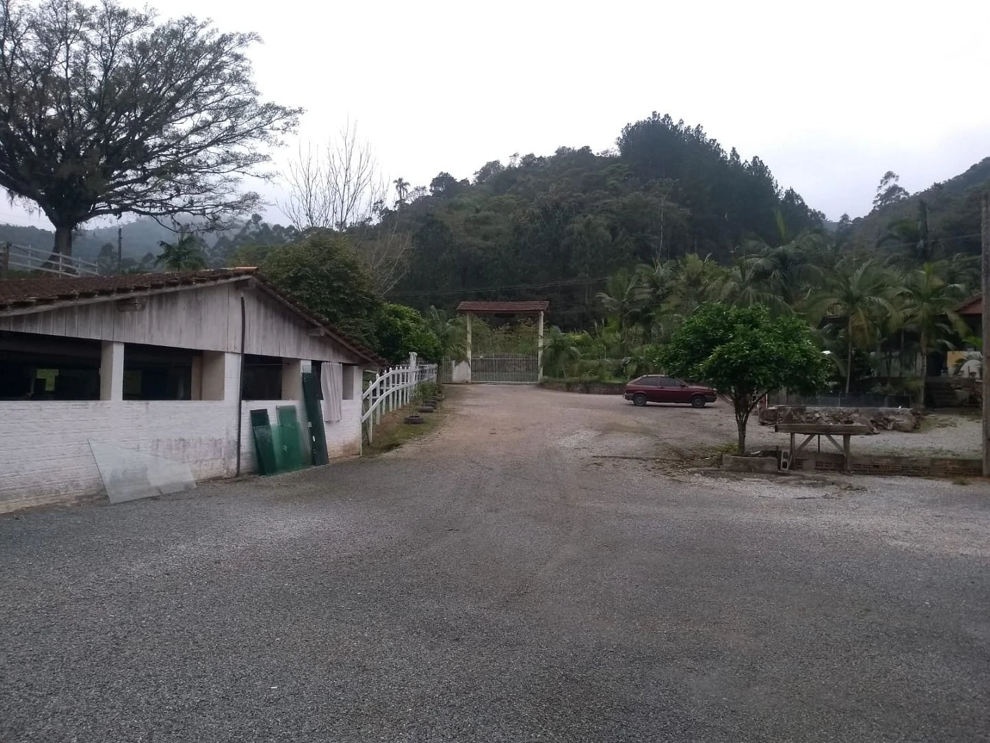 Sitio a Venda - São Bonifácio -SC - Foto 37