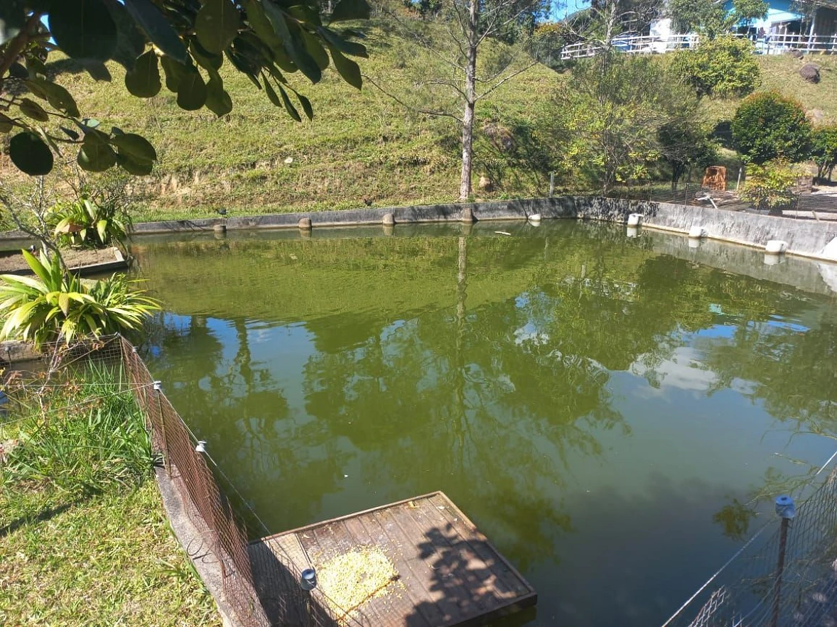 Sitio a Venda - São Bonifácio -SC - Foto 6