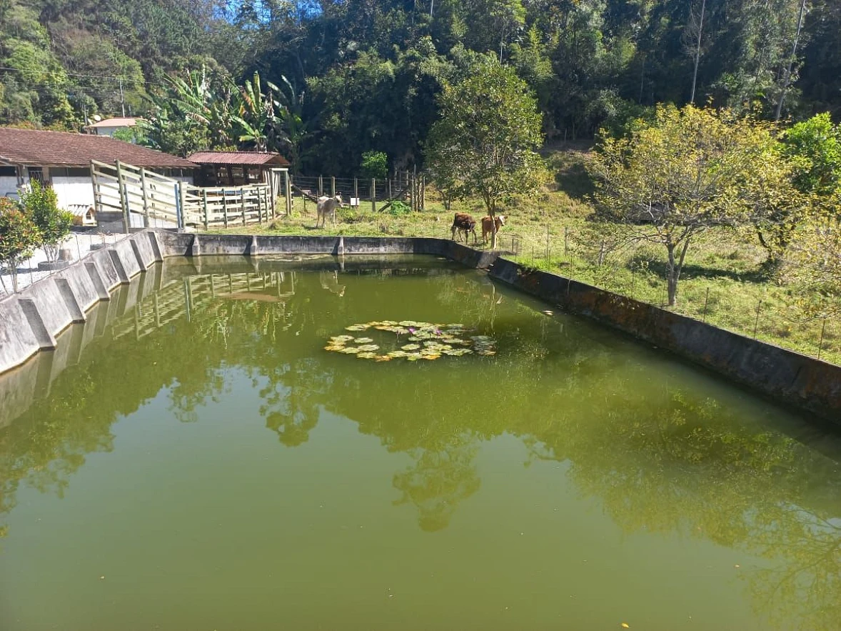 Sitio a Venda - São Bonifácio -SC - Foto 7
