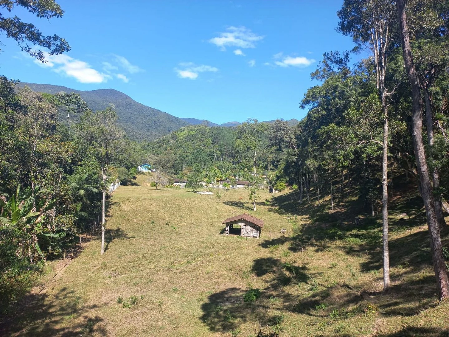 Sitio a Venda - São Bonifácio -SC - Foto 9