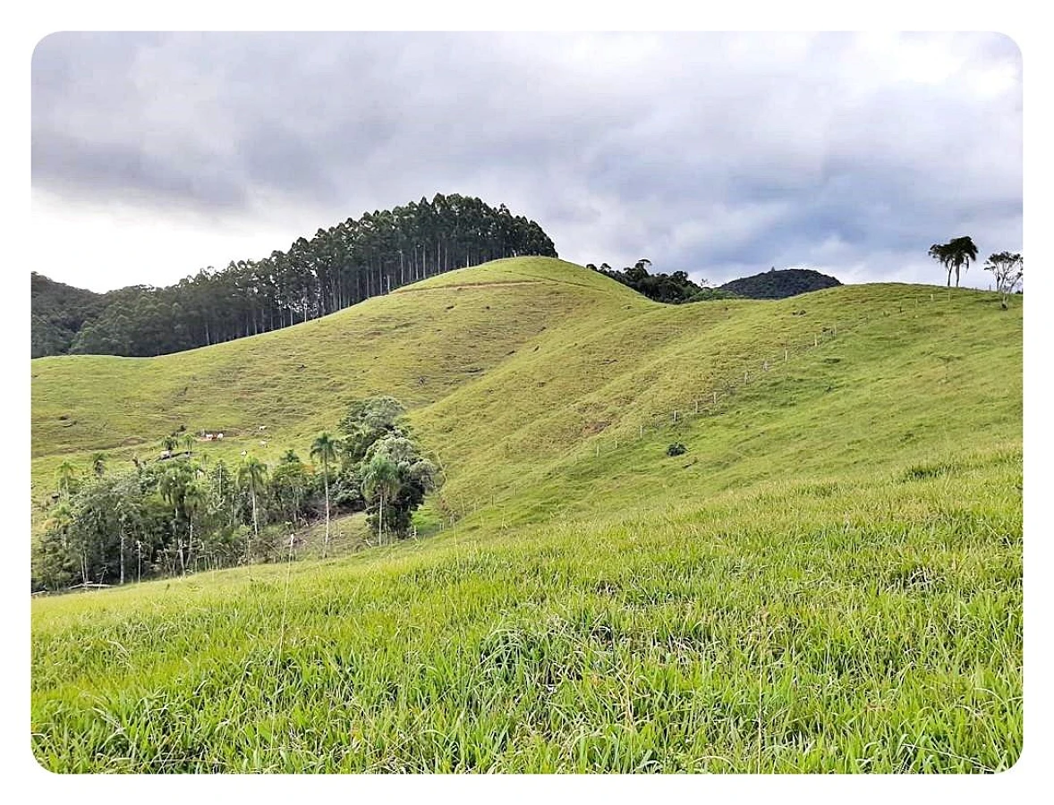Sítio 23 Hectares em  São Bonifácio/SC - Foto 12