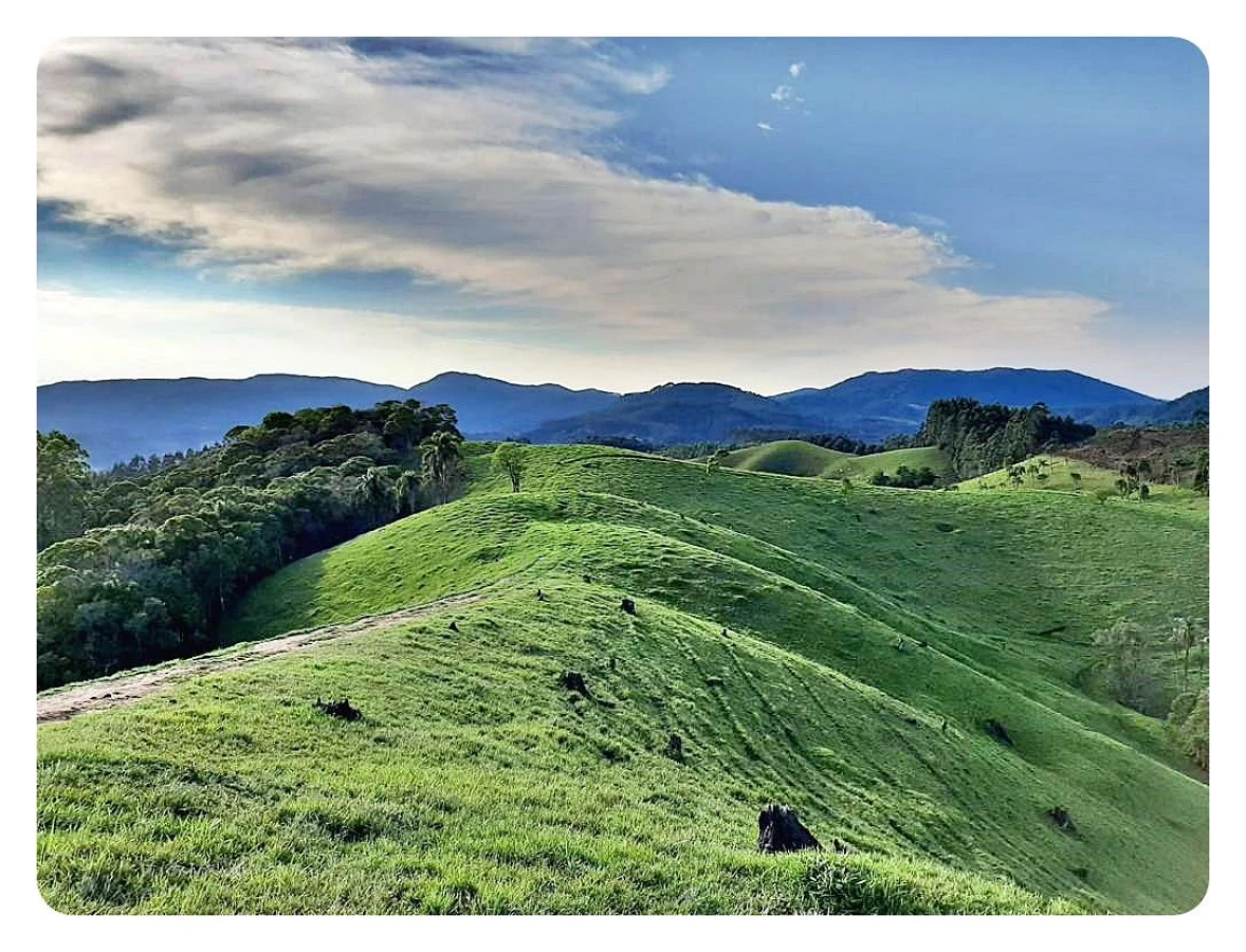 Sítio em Estrada Rio Do Cedro, Águas Mornas