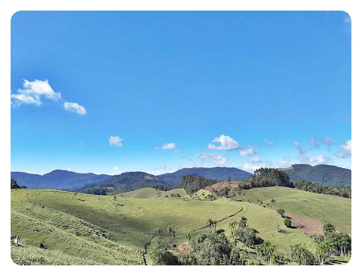 Sítio 23 Hectares em  São Bonifácio/SC - Foto 6