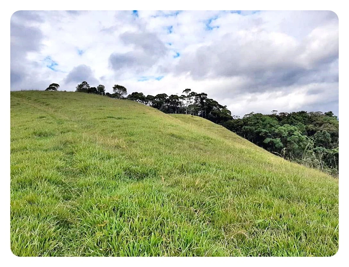 Terreno Rural à Venda, 236000 m² em São Bonifácio/SC - Foto 10