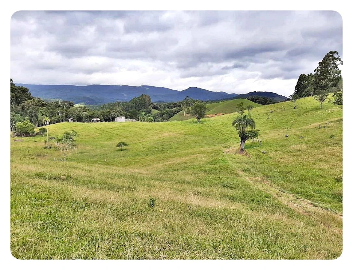 Terreno Rural à Venda, 236000 m² em São Bonifácio/SC - Foto 13