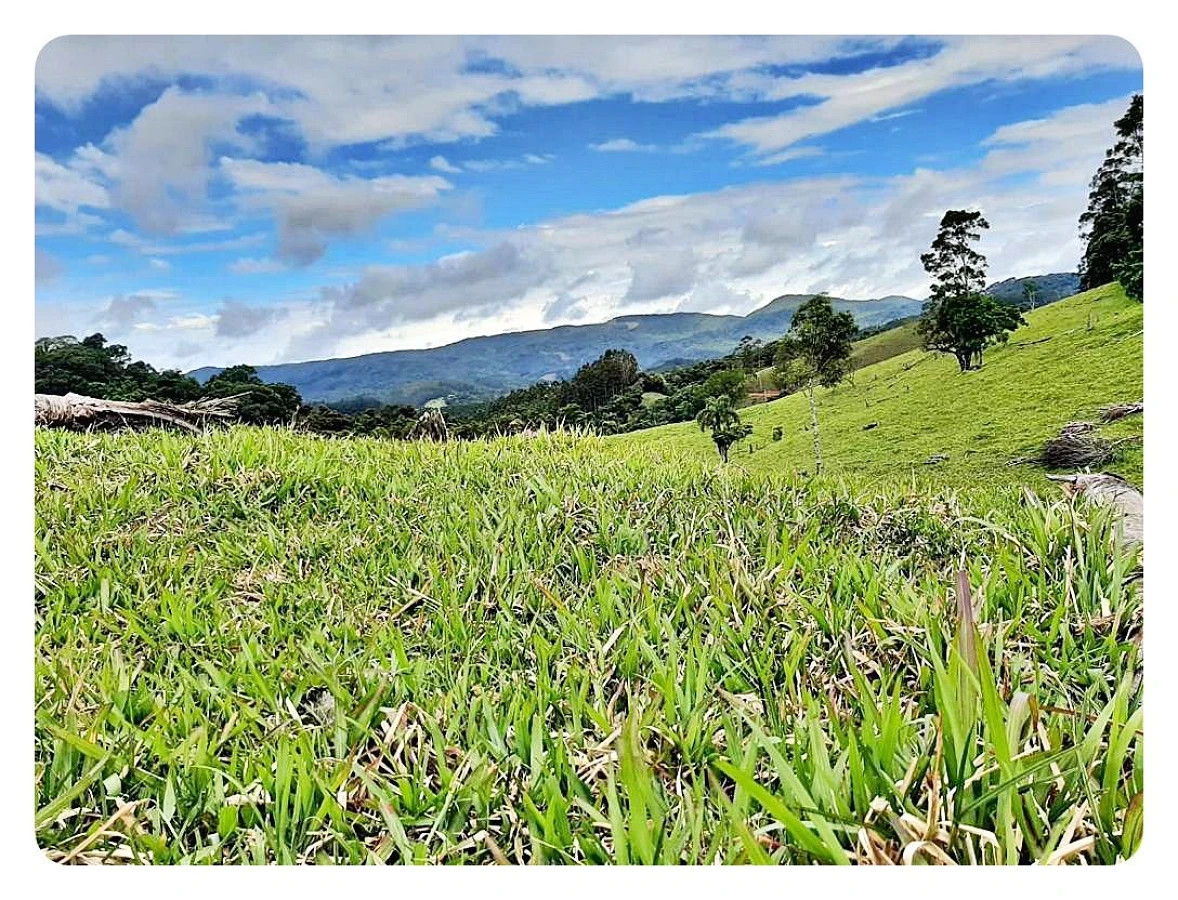 Terreno Rural à Venda, 236000 m² em São Bonifácio/SC - Foto 8