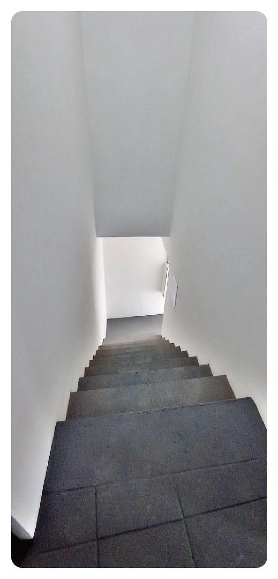 Prédio à Venda Ótima Localização 448 M²- Ipiranga - São José/SC - Foto 31