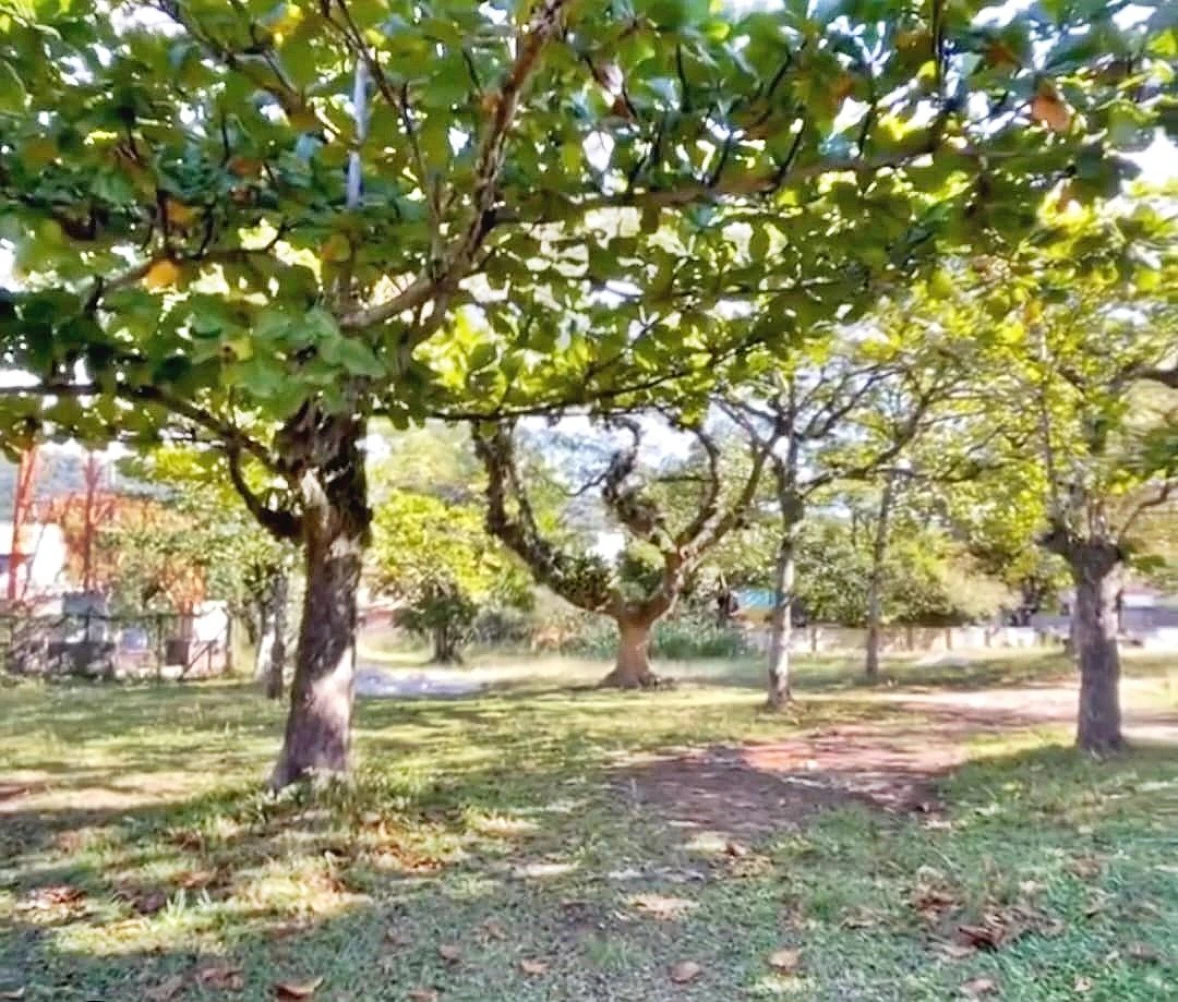 Sobrado Geminado 2 Quartos com 2 Suítes - Armação do Pântano do Sul - Foto 12