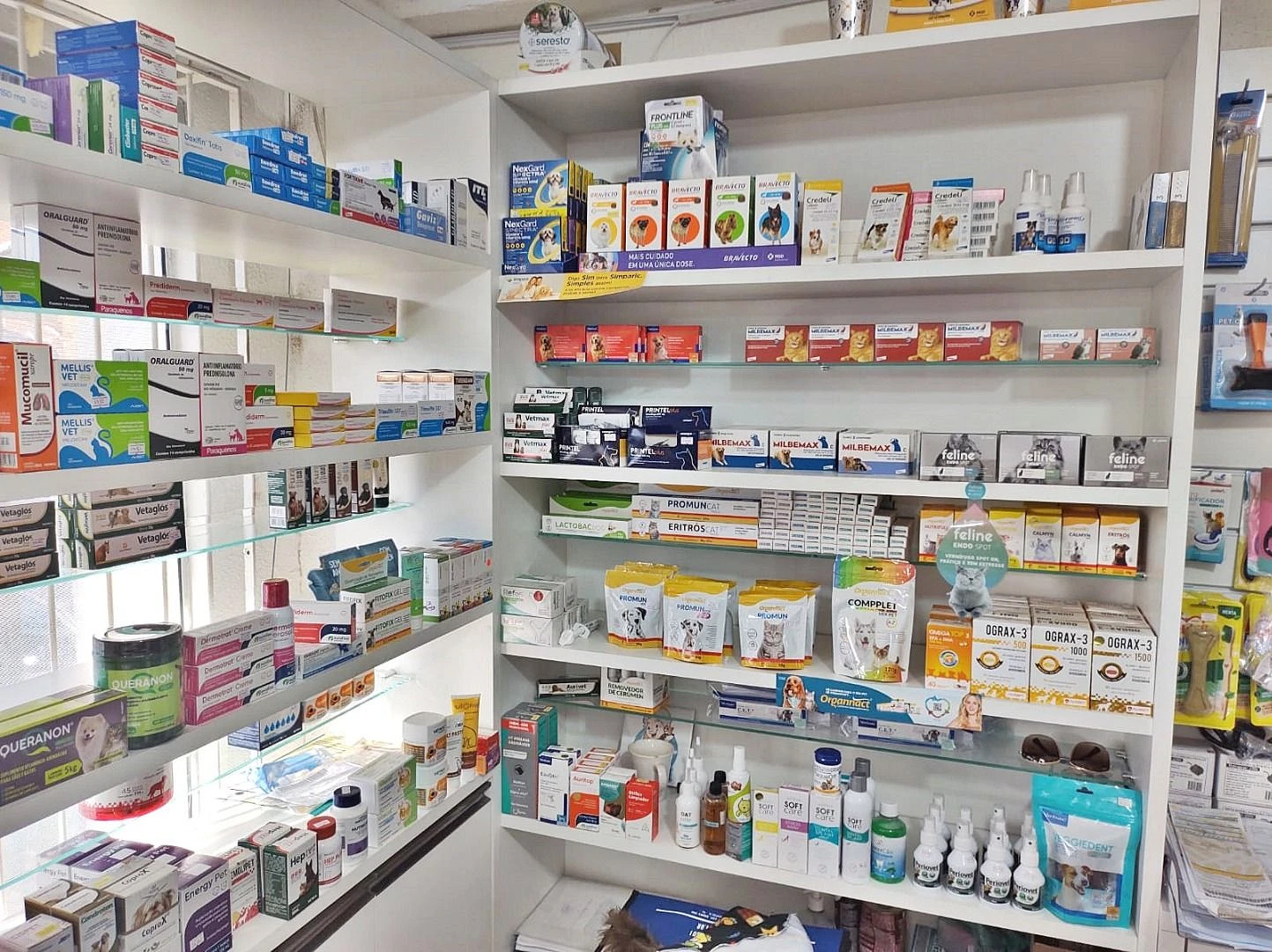 Clinica Veterinária Pet Shop Ponto à Venda, 155 m² - Foto 15