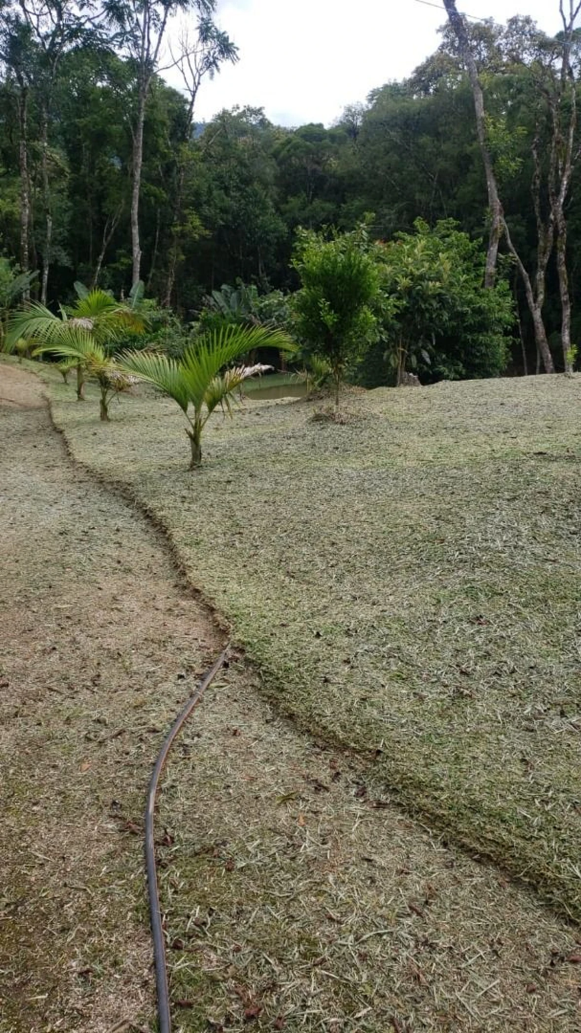 Sítio em Anitápolis Rio dos Pinheiros - Foto 39